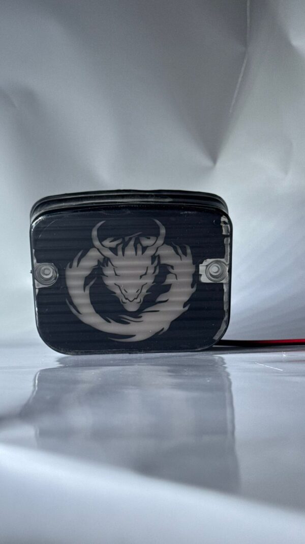 Dragon 🐉 backlight Splendor double colour and blinker