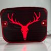 Barasingha backlight Splendor red colour