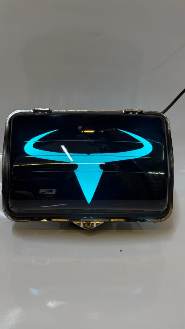 BULL SKULL 5 HEADLIGHT SPLENDOR DOUBLE COLOUR